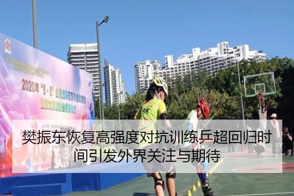 樊振东恢复高强度对抗训练乒超回归时间引发外界关注与期待